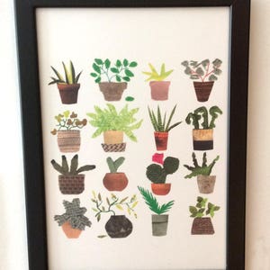 Op de afbeelding: Een ingelijst afdruk van een collage van 18 potplanten in verschillende tinten groen, bruin en rood. De planten zijn in een rasterpatroon op een witte achtergrond gerangschikt.