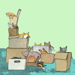 Gatos en CAJAS, muchos gatos divertidos haciendo una de sus cosas favoritas, ¡habitando una caja! Tarjeta impresa a partir de un collage original.