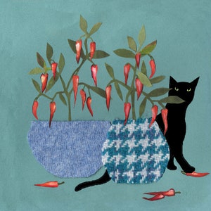 Chilli Cat with open or shut eyes or just chilli plants . 3 lovely options to choose from .Printed card from an original collage artwork