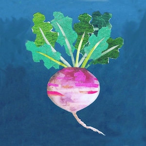 NABO o Cebolletas, 2 tarjetas deliciosamente sencillas... un hermoso nabo rosa o 6 cebolletas sobre azul. Tarjeta impresa a partir de un collage original.