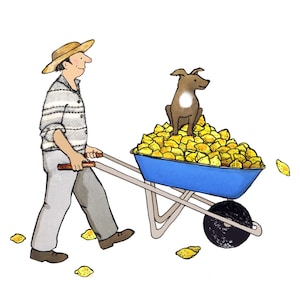 HUND UND ZITRONE Inspiriert vom Leben in einem spanischen Dorf.Ein Bauer, sein Hund und eine Schubkarre Zitronen.Gedruckte Karte aus Collage Original