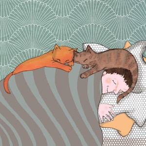 THREE IN A BED ,Cats sit on your head ,on your chest,on your computer,they just want to be near you . We're so lucky ! Two colour options
