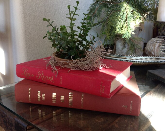 Literary Planters Are Great Additions to Coffee and Side Etsy