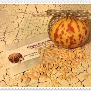 May include: A decorative Tiger Melon Vine fruit with a brown and white polka dot bow. The melon is yellow with red spots, next to a packet of seeds and a pile of seeds. The packet reads "CottageVines.com TIGER MELC VINE".