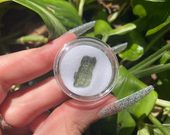 May include: A small, irregularly shaped, green moldavite crystal is displayed in a clear, round container with a white interior. The crystal has a rough, textured surface. The background features green foliage.