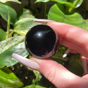 May include: A polished, spherical black obsidian crystal ball. The smooth, reflective surface of the sphere contrasts with the green foliage in the background. A decorative item for display or meditation.