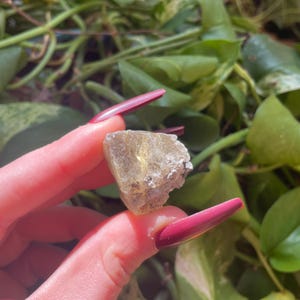 May include: A small, rough, light green and gray crystal with a natural, irregular shape.