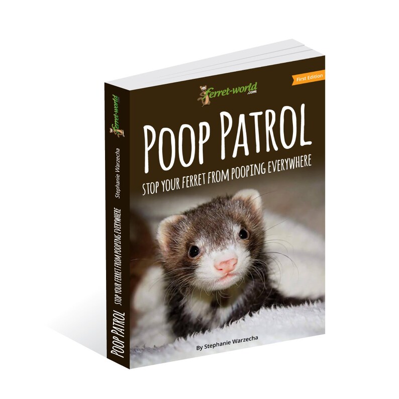Poop Patrol Stop Your Ferret From Pooping Everywhere/ Ferret Etsy