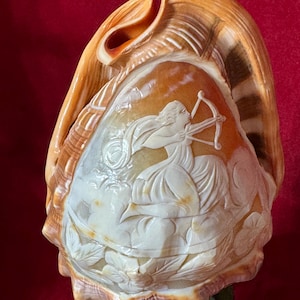 Peut inclure: Une grande sculpture de coquillage finement sculptée. La coquille présente un relief détaillé d'une figure avec un arc et une flèche, sur fond de nuages. Les couleurs de la coquille varient du crème au brun.