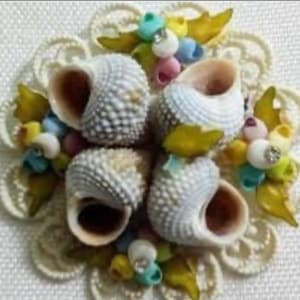 B48 Su carta originale, spilla vintage in conchiglia e souvenir di plastica della Florida, diametro 5 cm. Spedizione tracciata