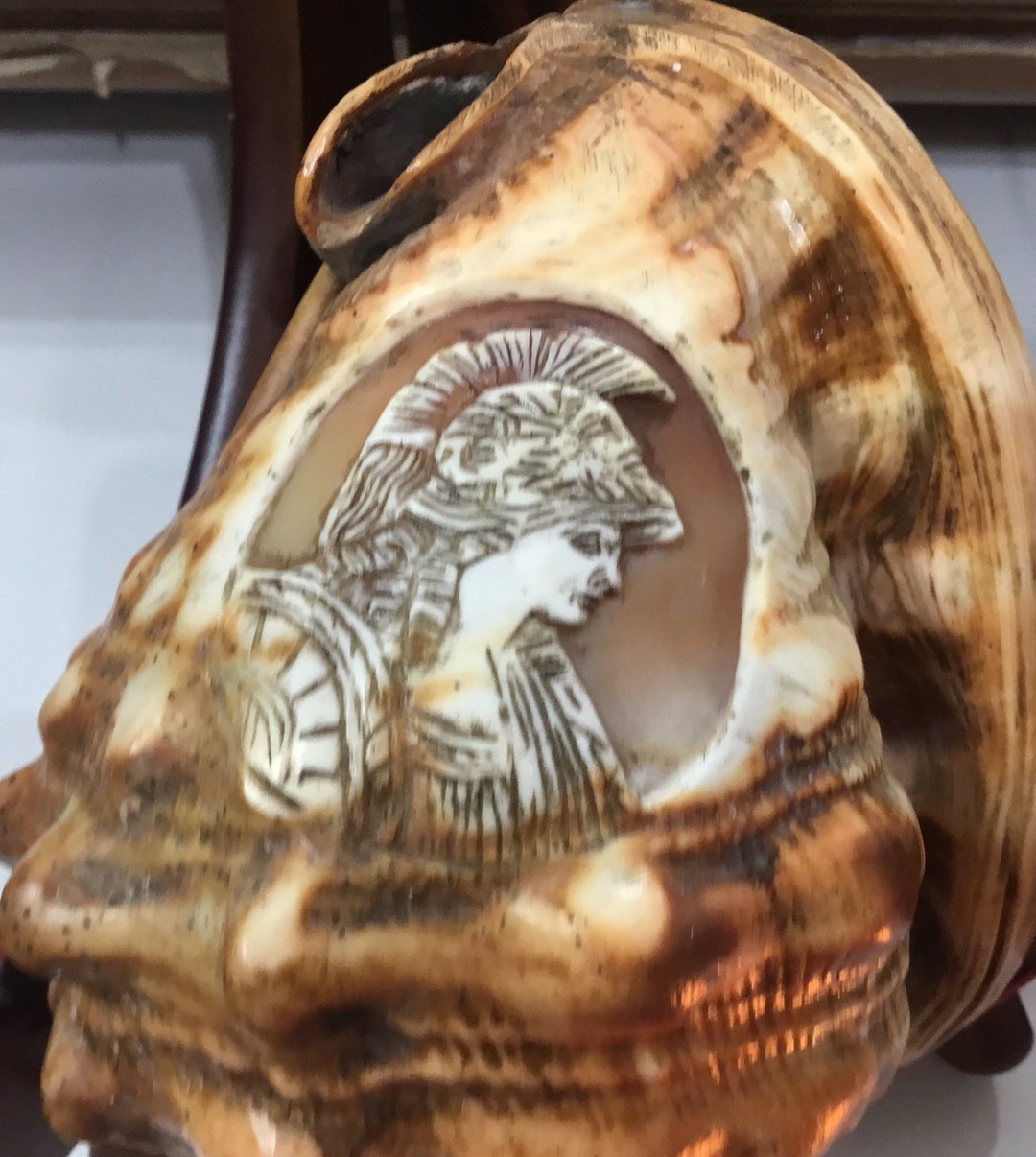 L62 Incredibly Rare Hand Carved Cameo in a Whole Conch Shell, Unusual ...