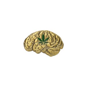Pode incluir: Um alfinete dourado em forma de cérebro com uma folha de cannabis verde no centro. O alfinete tem uma superfície texturizada e está sobre um fundo branco. O cérebro é uma representação detalhada do cérebro humano.
