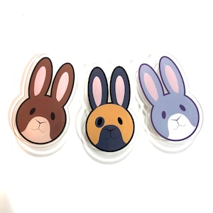 May include: Three clear acrylic keychains featuring cartoon bunny rabbit designs. The bunnies are brown, gray, and black with white accents.