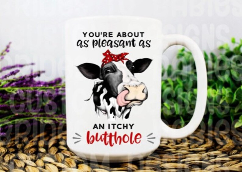Youre about as pleasant as an itchy butthole Christmas mug ...