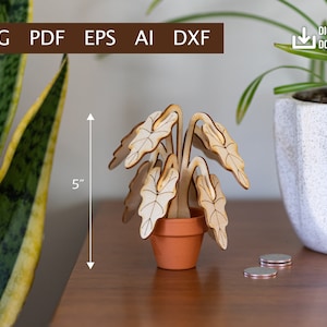 Mini Alocasia Plant - Digital Download (Ai, PDF, DXF, SVG, eps)