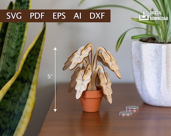 Mini Alocasia Plant - Digital Download (Ai, PDF, DXF, SVG, eps)