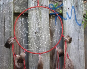 Native American Dream Catcher w/ Quartz Crystal chips Cherokee made William Lattie comes w/ Certificate of Authenticity FREE US SHIPPING