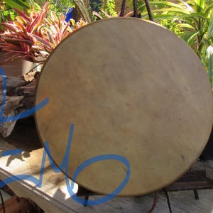 May include: A circular frame drum with a smooth, light tan animal hide head stretched tightly across a wooden rim. The drum head features natural variations in color and texture, presenting a flat, uniform surface for percussion performance.