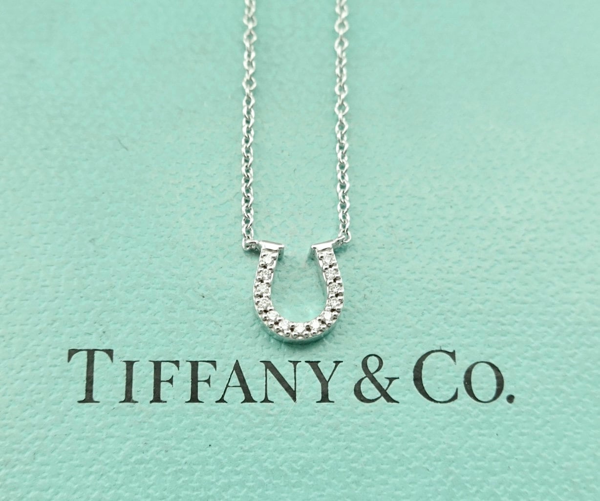 Tiffany horseshoe shop necklace diamond
