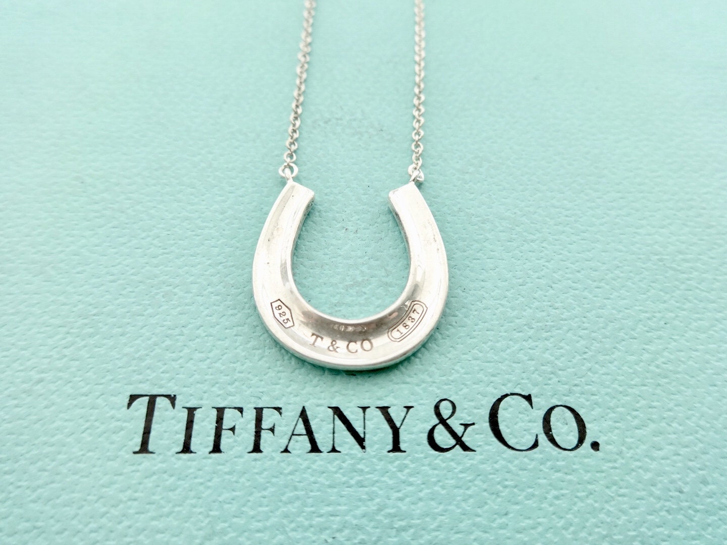 Tiffany 1837 Horseshoe Pendant, Women's Fashion, Jewelry & Organisers,  Necklaces on Carousell