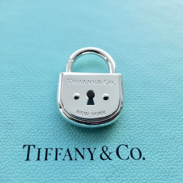 Authentic Tiffany & Co. Arc Lock Charm Pendant Sterling Silver Padlock