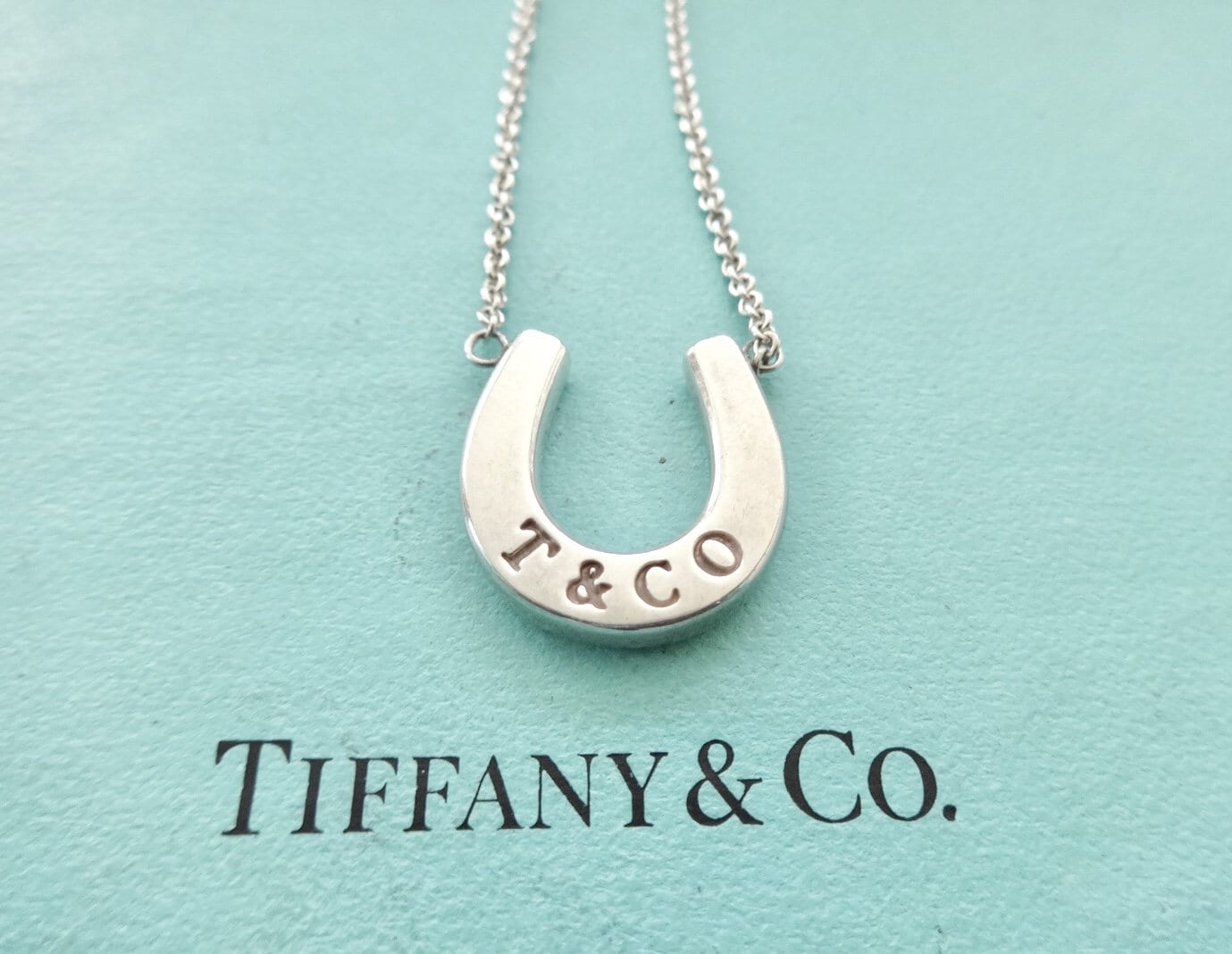 Tiffany & co horseshoe necklace sale
