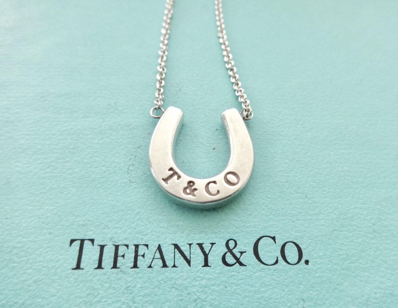 Used B/Standard] TIFFANY&Co. Tiffany Horseshoe Silver 925 Women's  Necklace 20419990