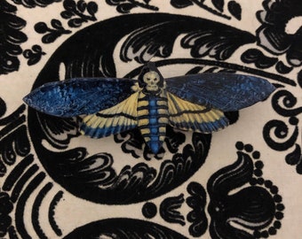Blue Deaths head Moth Brooch Pin