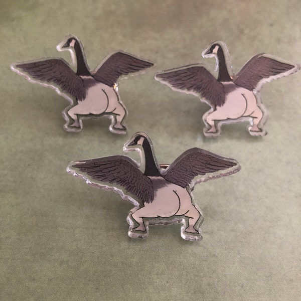 Tommy Siegel Birds Etsy