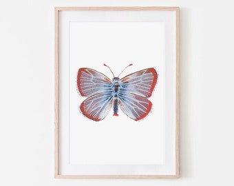 Xerces Etsy