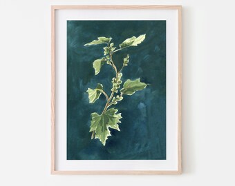 X is for Xanthum Strumarium | Giclée Fine Art Print