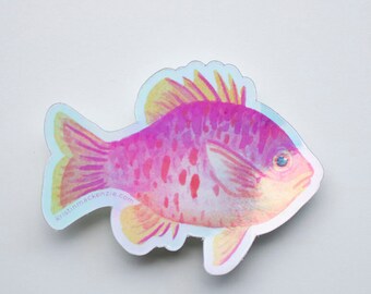 Pink Sunfish Holographic Sticker