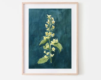 Z is for Zig Zag Golden Rod | Giclée Fine Art Print