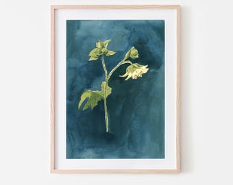 U is for Uvedalia | Giclée Fine Art Print