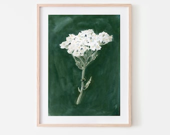 Y is for Yarrow | Giclée Fine Art Print