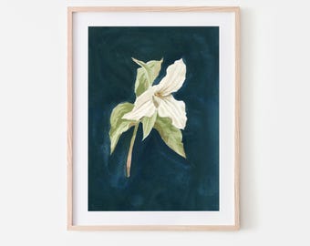 T is for Trillium | Giclée Fine Art Print