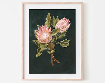 P is for Protea | Giclée Fine Art Print
