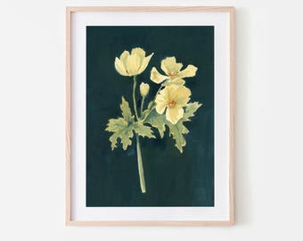 W is for Wood Poppy | Giclée Fine Art Print