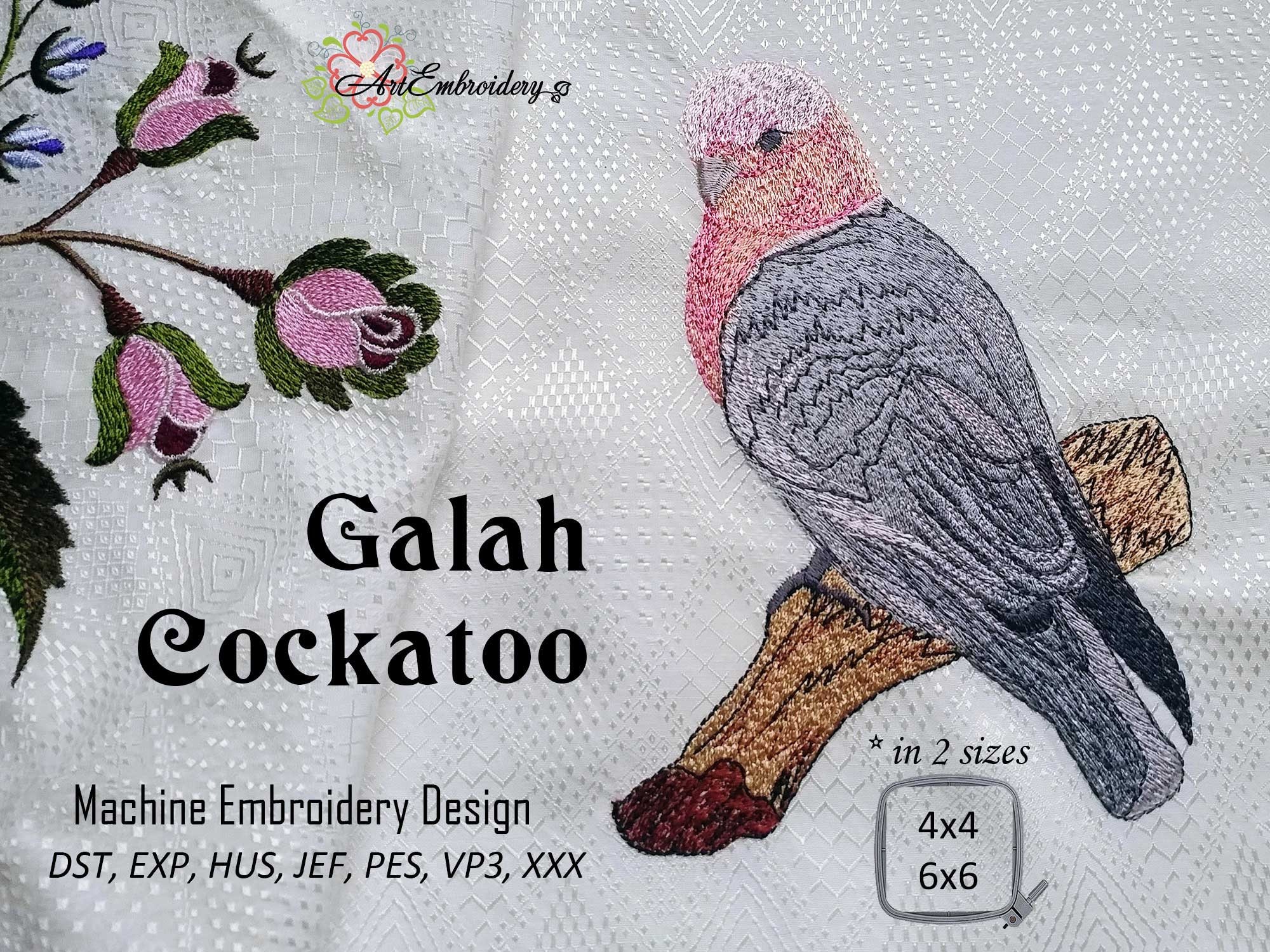 モモイロインコ - 4x4 インチと 6x6 インチの枠に対応した 2 サイズの機械刺繍デザイン - Etsy 日本