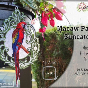 Atrapasol de guacamayo FSL: Diseño de encaje bordado a máquina (aro de 15 x 25 cm)