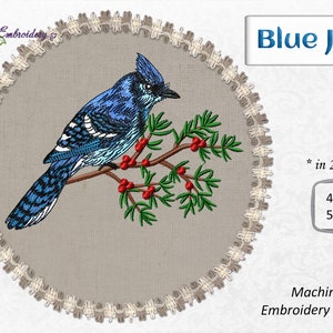 Può includere: Ricamo a macchina di un ghiandaia azzurra posata su un ramo con bacche rosse. Il design è disponibile in due dimensioni: 4x5 pollici e 5x7 pollici.
