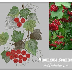 Viburnum Berries - Machine Embroidery Borders Designs Set