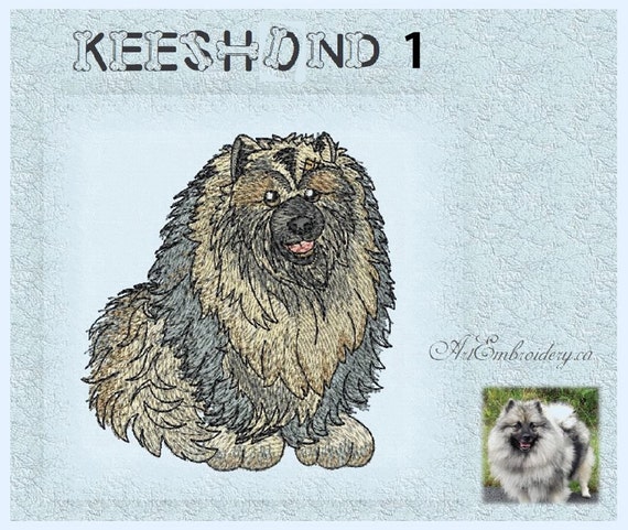 toy keeshond