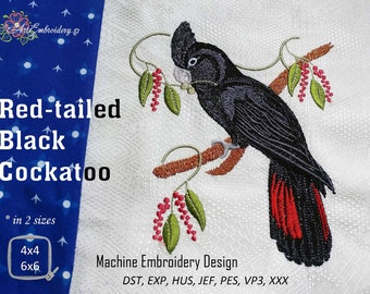 Red-Tailed Black Cockatoo Machine Embroidery Design (4x4 and 6x6)