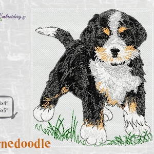 Perro Bernedoodle: diseño de animal para bordado a máquina en estilo de dibujos animados en 2 tamaños para bastidores de 4 x 4" y 5 x 5"