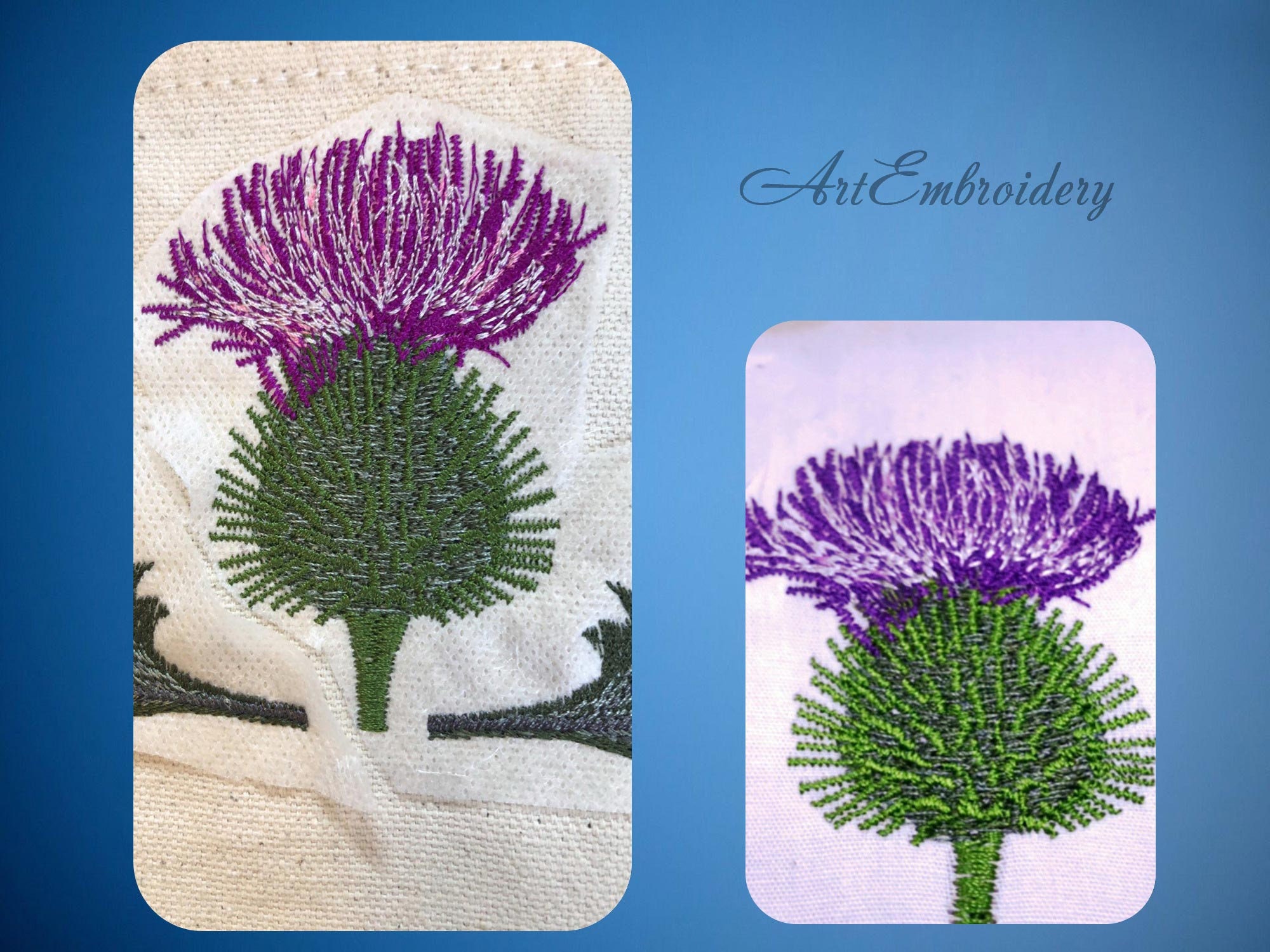 Scottish Thistle Machine Embroidery Designs Set for Hoop Etsy UK