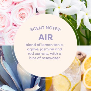 May include: A collage featuring pink roses, white jasmine flowers, blue agave leaves, and a glass of lemonade with lemon slices. The text "SCENT NOTES: AIR" is displayed, describing a blend of lemon tonic, agave, jasmine, red currant, and rosewater.