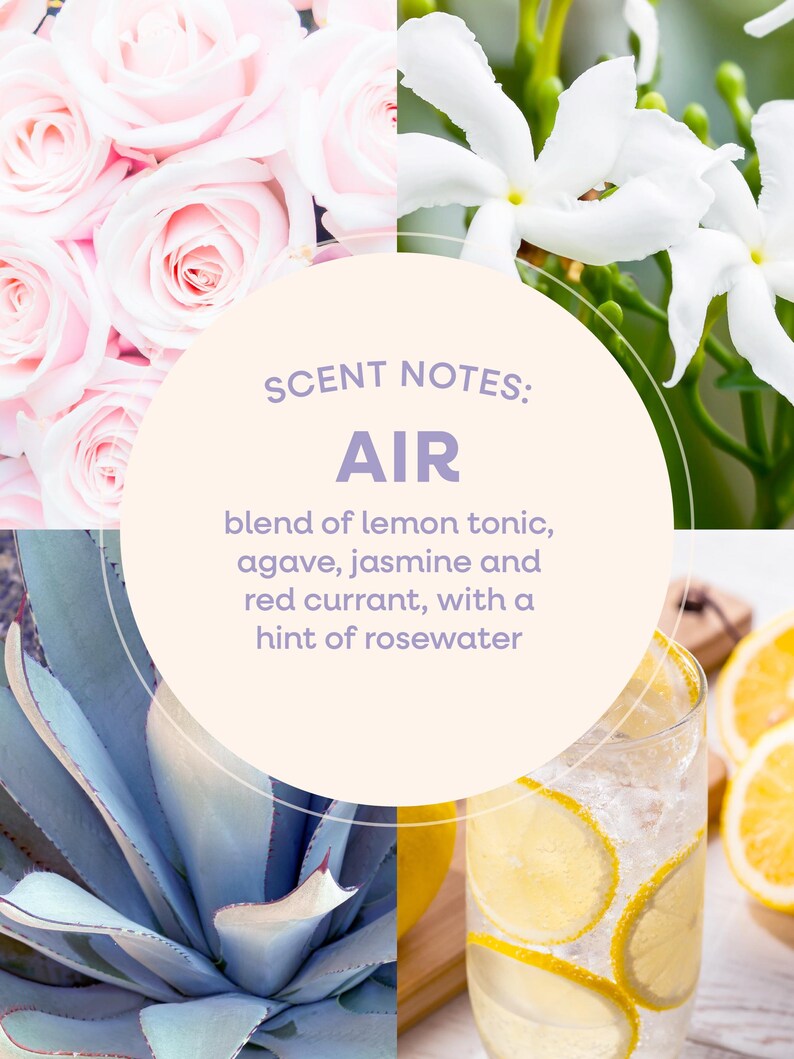 May include: A collage featuring pink roses, white jasmine flowers, blue agave leaves, and a glass of lemonade with lemon slices. The text "SCENT NOTES: AIR" is displayed, describing a blend of lemon tonic, agave, jasmine, red currant, and rosewater.