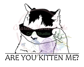 あなたは子猫ですか？ニャーPNG、あなたは子猫ですか？ギフト、猫好きへのギフト、猫PNG、猫のユーモアギフト、面白い猫ギフト