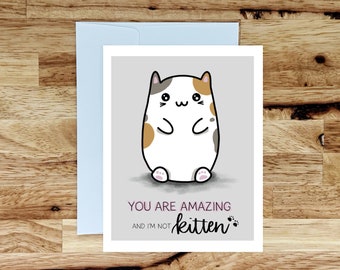 You Are Amazing and I'm Not Kitten Card, Handmade Greeting Card, Cat Valentine's Day, Card for Him, Card for Her, Galentine, Punny Valentine